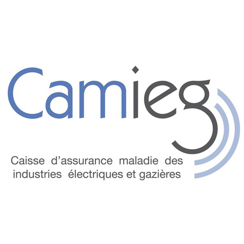 logo camieg